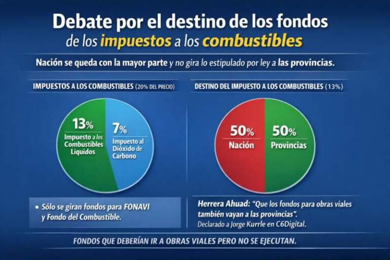 Combustibles: crece el debate por los impuestos, el destino de los fondos y el reclamo de Misiones por lo que Nación no gira imagen-25