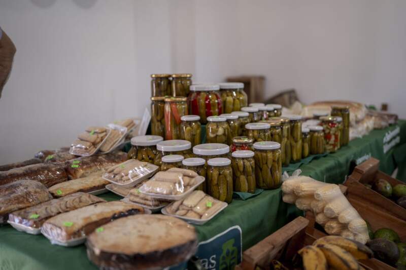 "Nada nos va a hacer retroceder a los misioneros", dijo Passalacqua al celebrar los 80 años de Campo Grande imagen-15