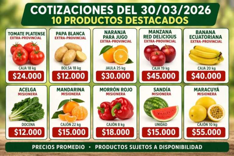 Frutas y verduras: cómo arrancó el Mercado Central con precios dispares entre productos misioneros y extra-provinciales Frutas y verduras: cómo arrancó el Mercado Central con precios dispares entre productos misioneros y extra-provinciales imagen-38