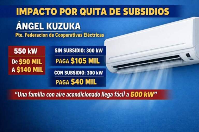 Ángel Kuzuka advirtió sobre el fuerte impacto de la quita de subsidios en las boletas de luz imagen-36