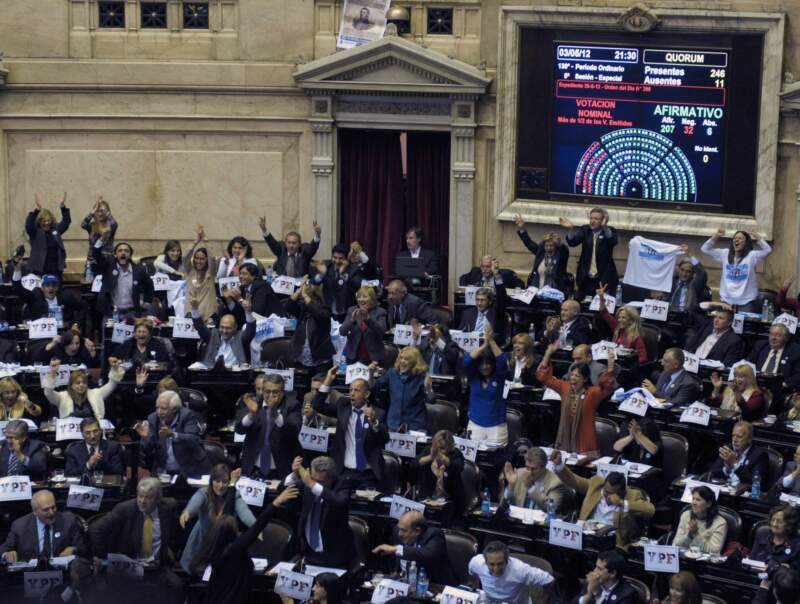 YPF: Misiones votó casi en bloque la estatización y Puerta quedó solo en contra imagen-13