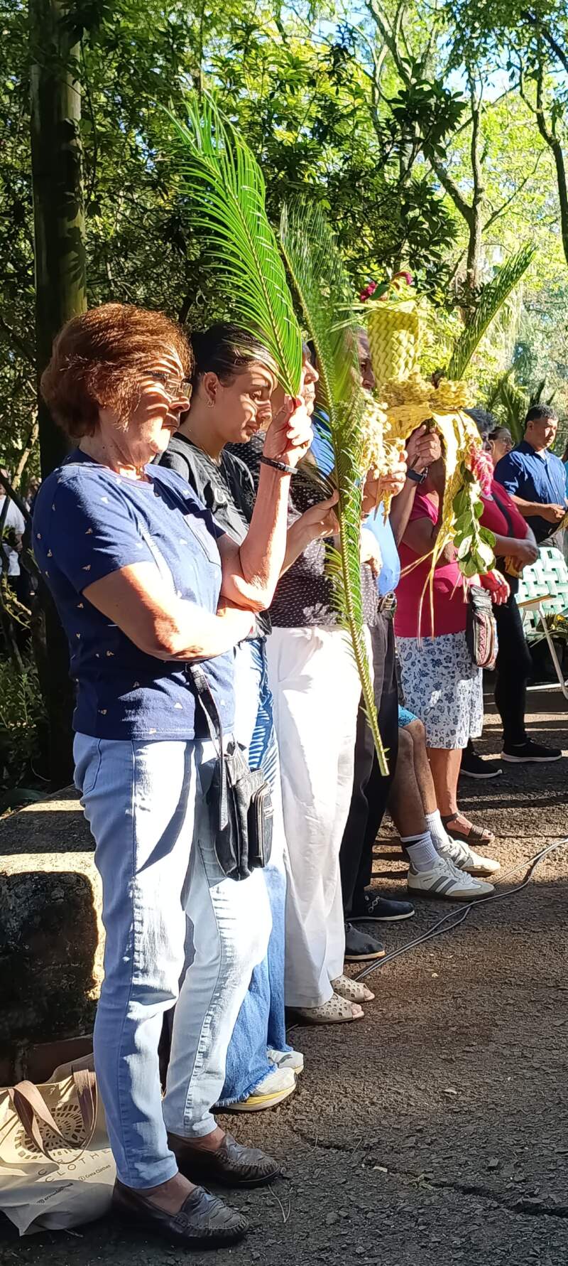 Domingo de Ramos: una celebración que interpela a vivir la fe sin ser espectadores imagen-4