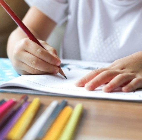 Posadas se consolida como polo educativo regional, destacan imagen-13