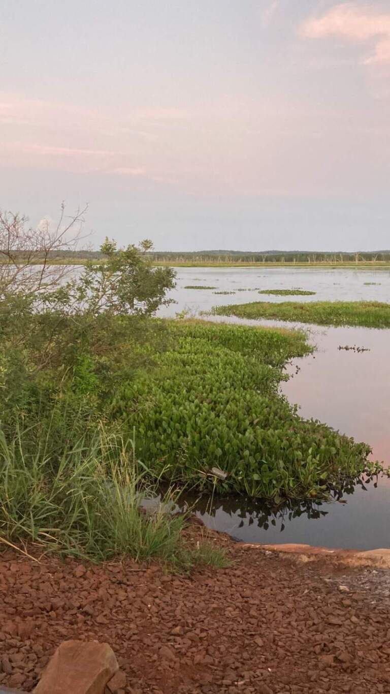 Buscan a un hombre desaparecido tras salir a pescar en su canoa en el Arroyo Pindapoy imagen-26