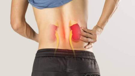 Enfermedad renal: qué señales tener en cuenta, cómo influyen la dieta y los hábitos, y cuándo es necesario iniciar tratamientos como la diálisis imagen-4