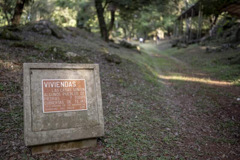 Passalacqua encabezó la presentación del Año del Legado Cultural Guaraní Jesuítico en Loreto: “Toda esa epopeya nos talló como misioneros” imagen-2