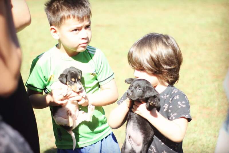 El IMuSa despliega operativos integrales con eje en la prevención en distintos barrios de Posadas El IMuSa despliega operativos integrales con eje en la prevención en distintos barrios de Posadas imagen-1