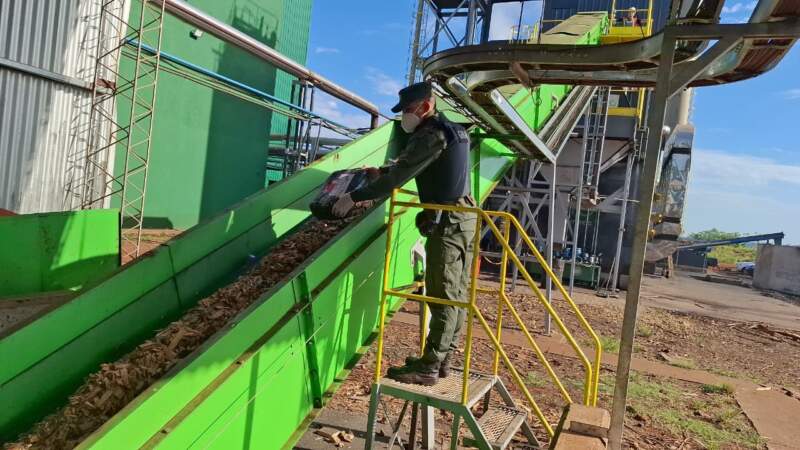 Incineraron más de 9 toneladas de marihuana secuestradas por Gendarmería en la provincia imagen-6