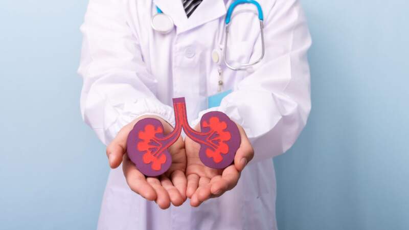 El Madariaga invita a conocer las “8 reglas de oro” para cuidar los riñones imagen-12