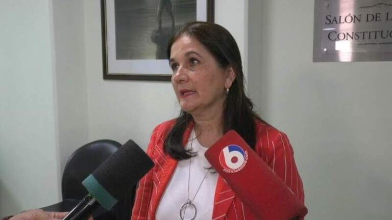 Sensibilidad y Firmeza de la Mujer Rural Misionera: testimonios de vida que buscan repensar el rol de las mujeres en Misiones Sensibilidad y Firmeza de la Mujer Rural Misionera: testimonios de vida que buscan repensar el rol de las mujeres en Misiones imagen-21