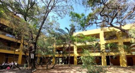 Ucami ya superó los 200 egresados y hasta el 70% permanece trabajando en Misiones imagen-7