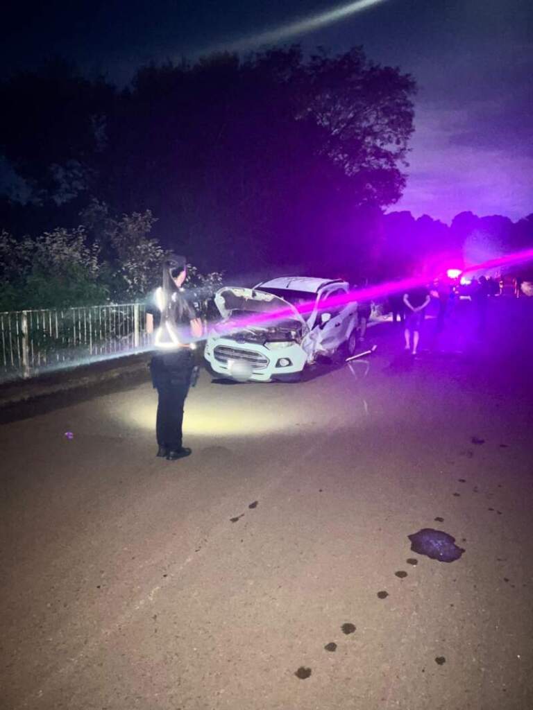 Alba Posse: un conductor resultó lesionado tras un choque en la Ruta Provincial 2 imagen-49