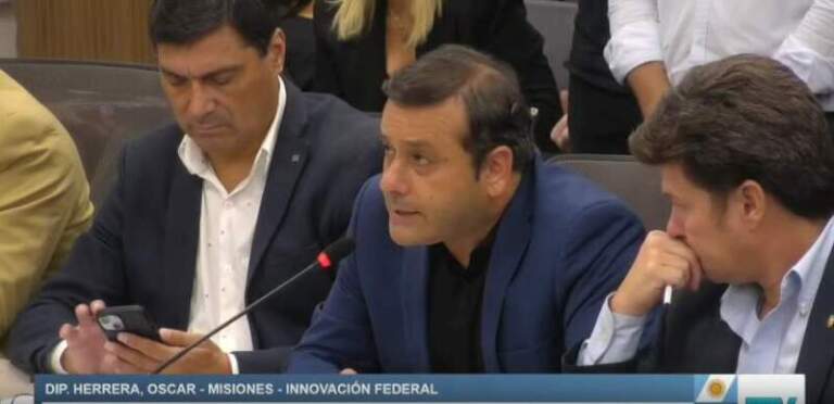 Alerta en las economías regionales: Herrera Ahuad pidió equiparar el IVA de la mandioca con el trigo ante el avance de importaciones imagen-49