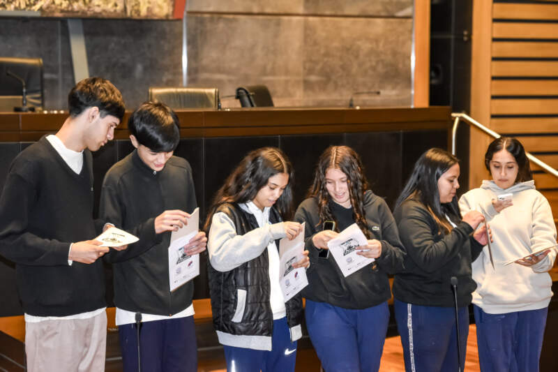 Del frío al debate: estudiantes coparon la Legislatura con preguntas y participación imagen-10