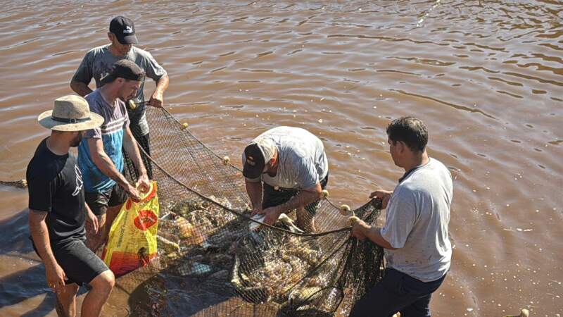 “Es clave que los funcionarios recorramos los municipios para profundizar la gestión”, dijo Carlos Sartori durante despesque en Campo Viera imagen-4