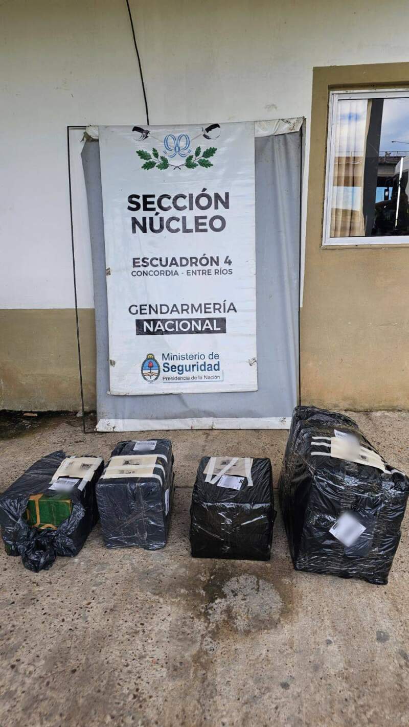 Más de 66 kilos de marihuana enviados por encomienda: dos detenidos y allanamientos en Misiones y Buenos Aires imagen-4