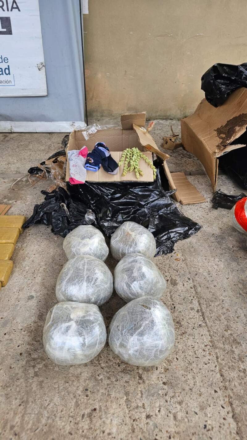 Más de 66 kilos de marihuana enviados por encomienda: dos detenidos y allanamientos en Misiones y Buenos Aires imagen-6
