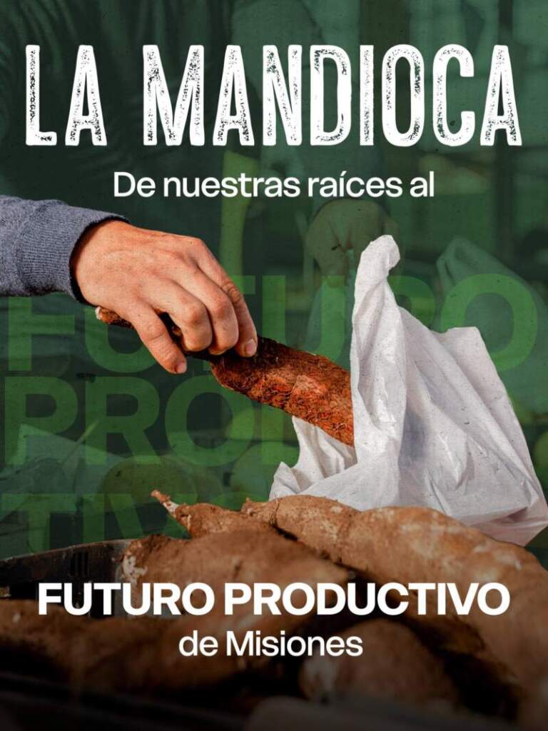Puerto Rico: inauguraron laboratorio biotecnológico para potenciar la producción de mandioca Puerto Rico: inauguraron laboratorio biotecnológico para potenciar la producción de mandioca imagen-2