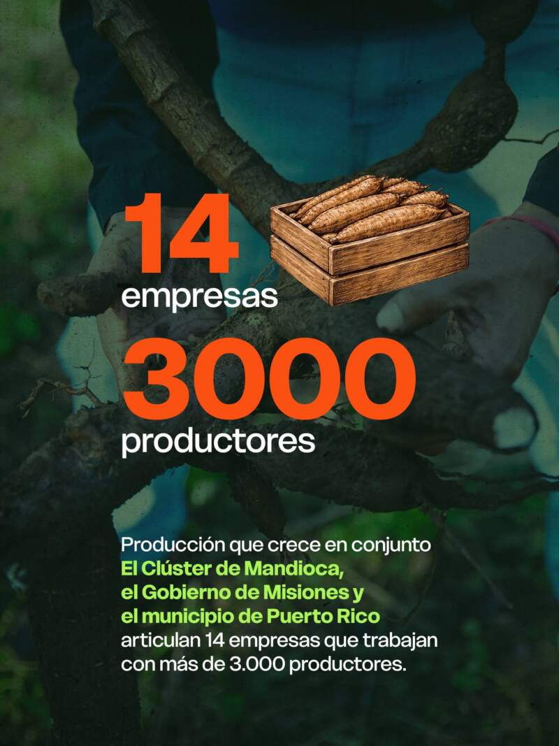 Puerto Rico: inauguraron laboratorio biotecnológico para potenciar la producción de mandioca imagen-4