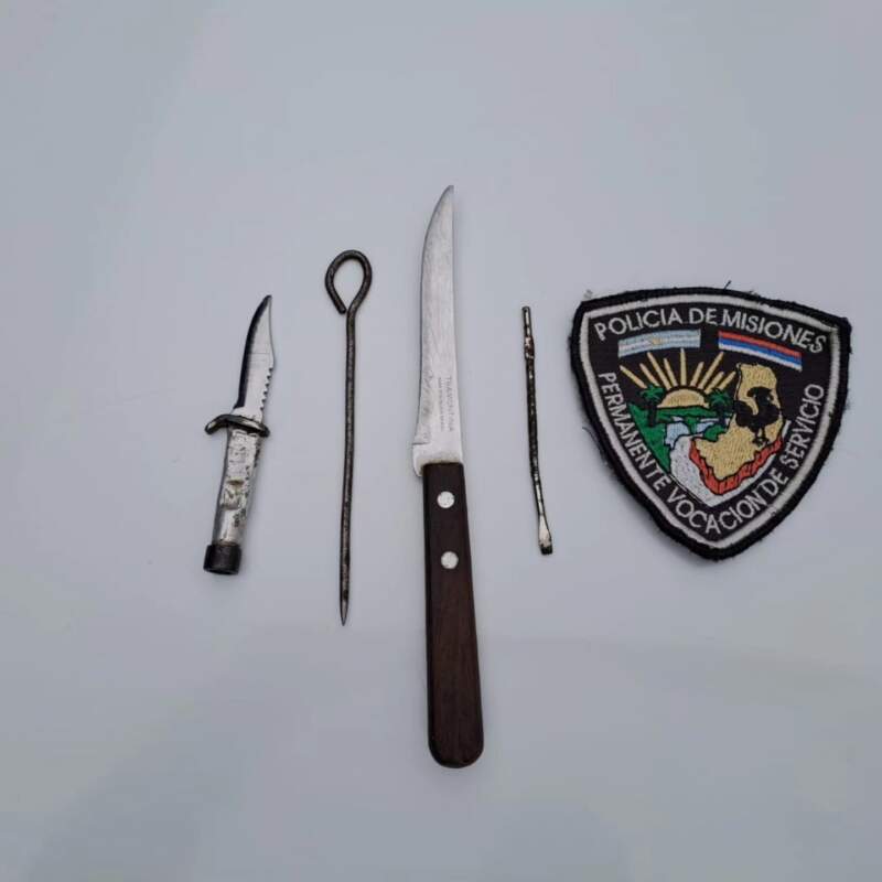 Envío de audios con amenazas a directivo, mensajes intimidatorios y arma de fuego en colegios: cómo fue al abordaje para la seguridad en las escuelas imagen-14