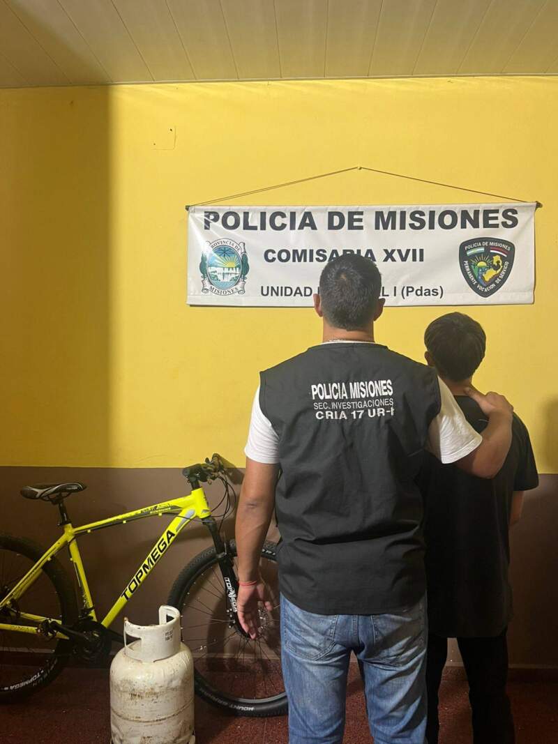 Una alerta al 911 y el monitoreo de cámaras derivaron en la detención de dos delincuentes en Posadas imagen-6