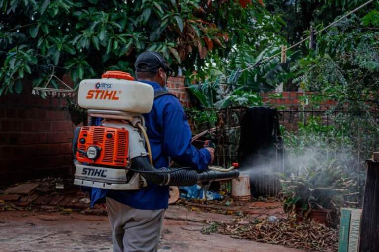 Refuerzan operativos contra mosquitos y roedores: descacharrado, fumigación y controles en toda la ciudad imagen-16