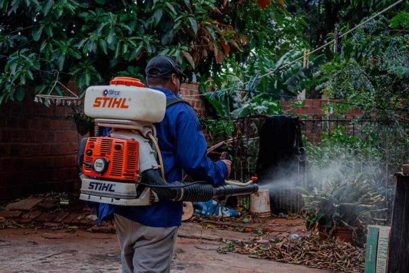 Refuerzan operativos contra mosquitos y roedores: descacharrado, fumigación y controles en toda la ciudad imagen-12