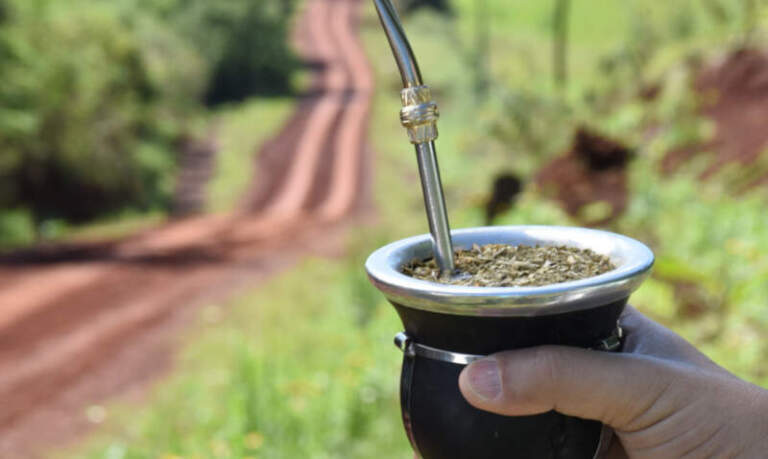 El Mundial de la Yerba Mate llega por primera vez: más de 200 marcas competirán para posicionar el producto argentino en el mercado global imagen-44