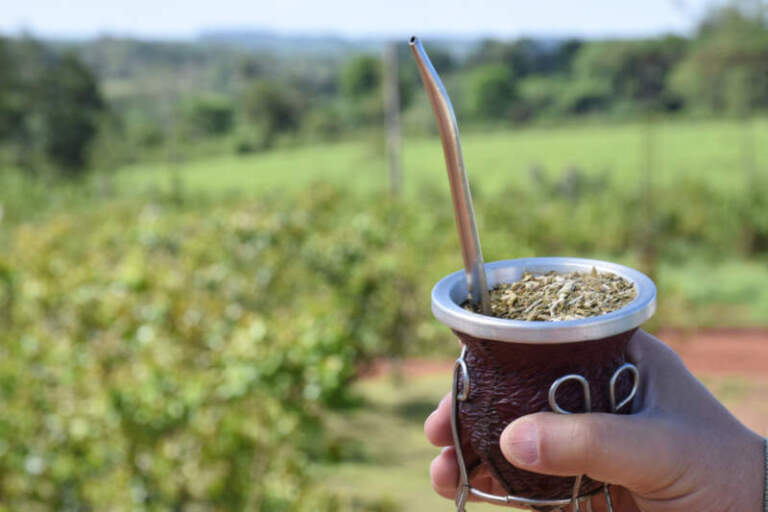 Yerba mate: crece el consumo 3,1% y las exportaciones 7,3%, pero la desregulación reduce la rentabilidad de los productores Yerba mate: crece el consumo 3,1% y las exportaciones 7,3%, pero la desregulación reduce la rentabilidad de los productores imagen-34