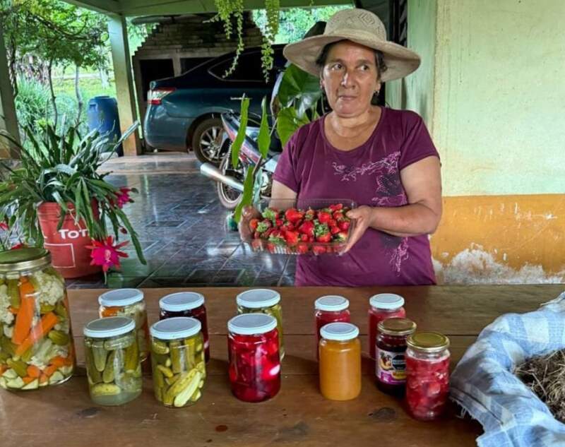 San Pedro: En Colonia Alegría la producción de frutillas es una manera de resistir la crisis 5 San Pedro: En Colonia Alegría la producción de frutillas es una manera de resistir la crisis imagen-4