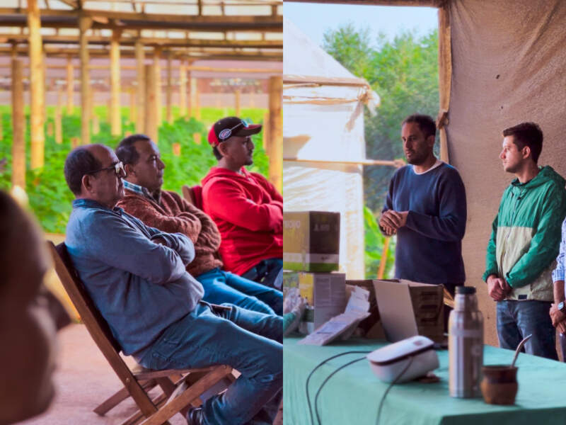 Plantineras municipales: Misiones refuerza la producción hortícola con capacitación en territorio imagen-4