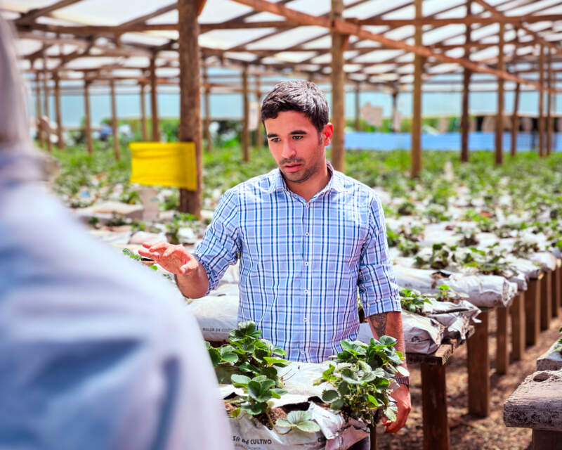 Plantineras municipales: Misiones refuerza la producción hortícola con capacitación en territorio imagen-2