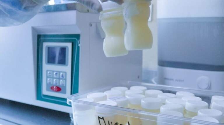 Leche materna que salva vidas: Misiones fortalece su red de recolección para recién nacidos vulnerables imagen-9