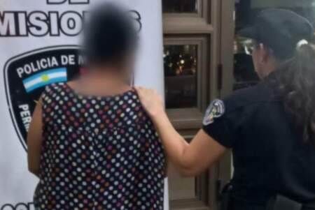 Detuvieron a una mujer por el millonario hurto de vinos de colección en un local céntrico de Posadas imagen-4