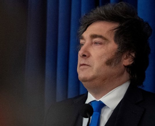 Milei admitió que la baja en la inflación podría demorarse imagen-12