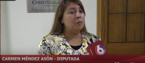 Dicen que la oposición usa proyecto sobre la Ley de Lemas como recurso de propaganda política en campaña imagen-1