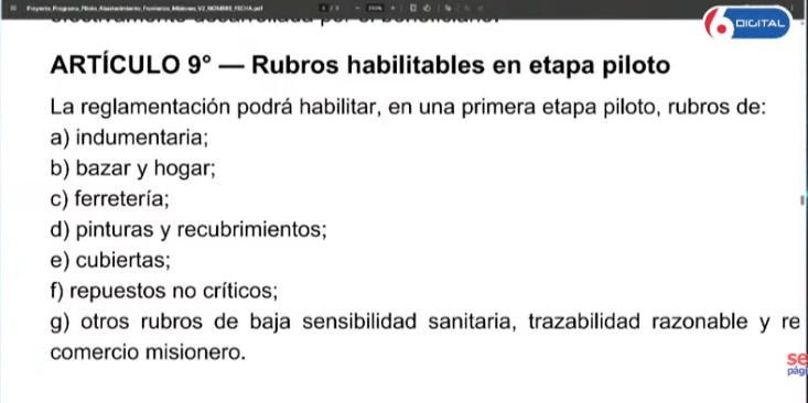 Frente a la crisis comercial, un empresario de Posadas impulsa una vía legal para competir con Paraguay imagen-18