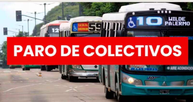 El transporte cruje en todo el país: subsidios atrasados, boletos desfasados y usuarios cada vez más castigados imagen-8