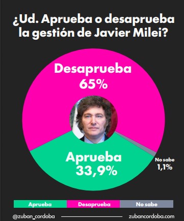 Encuesta de abril: crece el rechazo a Milei y la economía vuelve al centro del malestar imagen-5