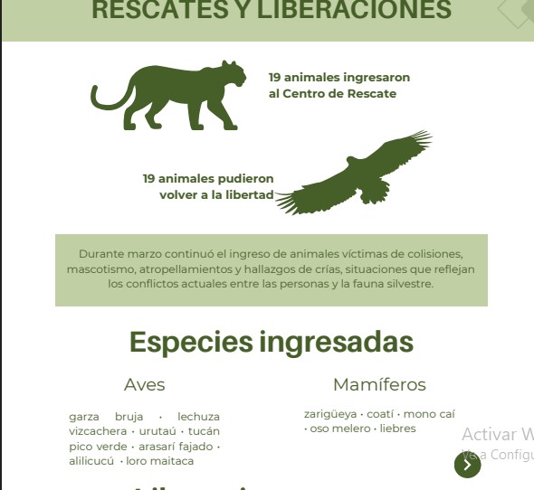 OHANA cerró marzo con más rescates, más educación y un déficit que se profundiza 7 OHANA cerró marzo con más rescates, más educación y un déficit que se profundiza imagen-6