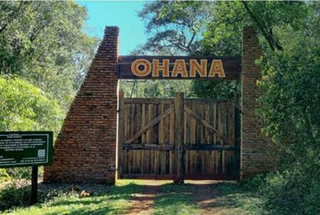 OHANA cerró marzo con más rescates, más educación y un déficit que se profundiza imagen-11