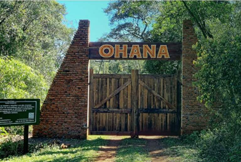 OHANA cerró marzo con más rescates, más educación y un déficit que se profundiza imagen-39