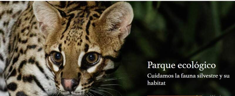 OHANA cerró marzo con más rescates, más educación y un déficit que se profundiza 9 OHANA cerró marzo con más rescates, más educación y un déficit que se profundiza imagen-8