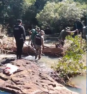 La Policía Ambiental arrasó con trampas ilegales en arroyos de Ruiz de Montoya y evitó la captura indiscriminada de peces La Policía Ambiental arrasó con trampas ilegales en arroyos de Ruiz de Montoya y evitó la captura indiscriminada de peces imagen-4