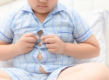 Obesidad en foco: “Si no hacemos algo, nuestros hijos vivirán menos que sus padres” imagen-14