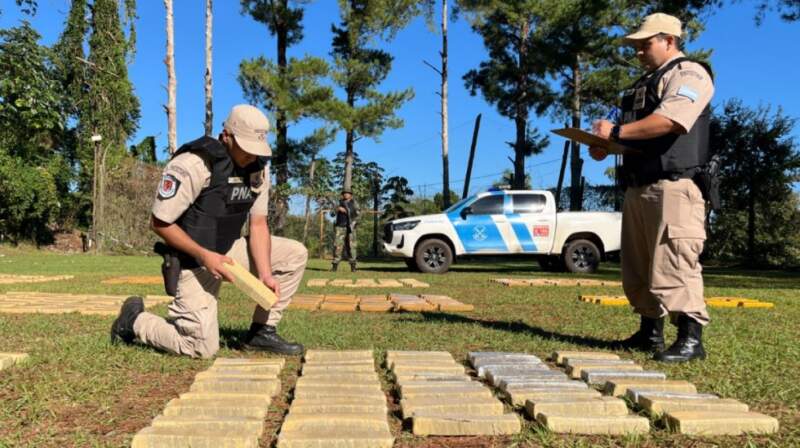 Impresionante operativo de Prefectura: En pleno monte misionero, se secuestraron más de 1.300 kilos de marihuana imagen-12