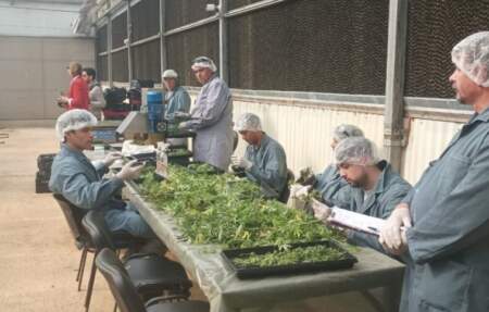 Passalacqua anunció la disolución de MisioPharma y su integración a la Biofábrica Misiones imagen-19