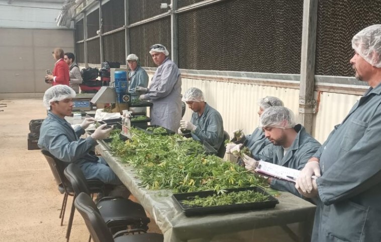 Passalacqua anunció la disolución de MisioPharma y su integración a la Biofábrica Misiones imagen-20