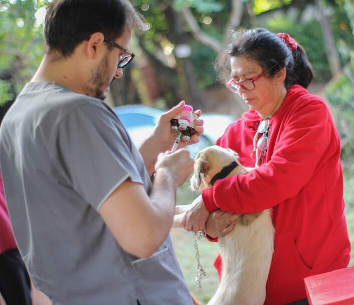 El Imusa sale a los barrios con operativos gratuitos: dónde estará esta semana imagen-12