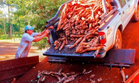 Mandioca: "Competir así es condenar a producir perdiendo", observó Romero Spinelli imagen-4